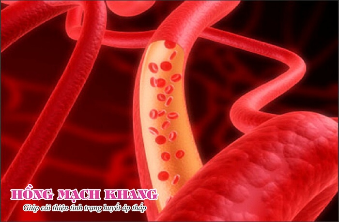 Máu không lưu thông đủ trong mạch dẫn đến huyết áp thấp 