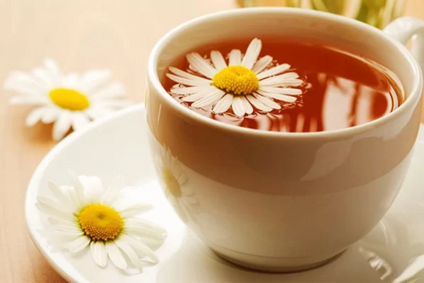 Uống trà hoa cúc giúp thanh nhiệt, giảm đau họng