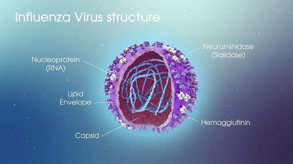 Virus Influenzae (cúm) là một trong những nguyên nhân phổ biến