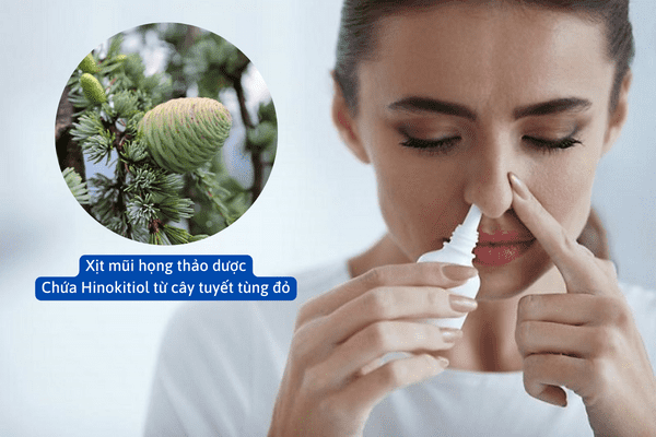 Bạn nên sử dụng sản phẩm xịt mũi họng thảo dược chứa Hinokitiol