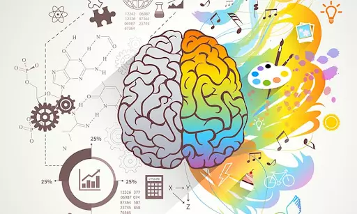5 cách cải thiện trí nhớ hiệu quả nhất. ÁP DỤNG NGAY!