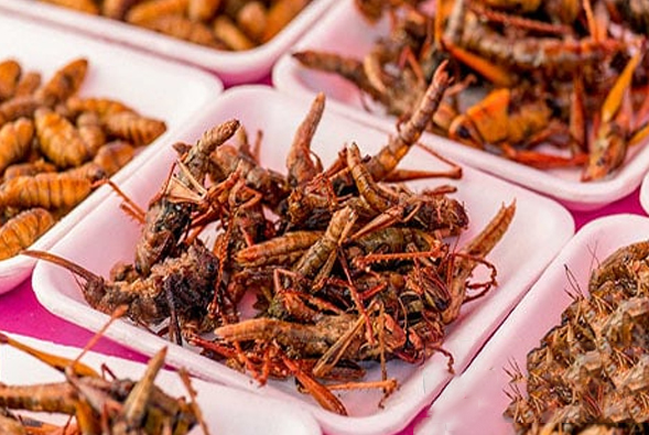 Côn trùng vẫn có thể gây dị ứng dù đã qua chế biến