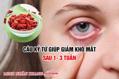 Câu kỷ tử - Vị thuốc quý trong phòng và điều trị các bệnh về mắt